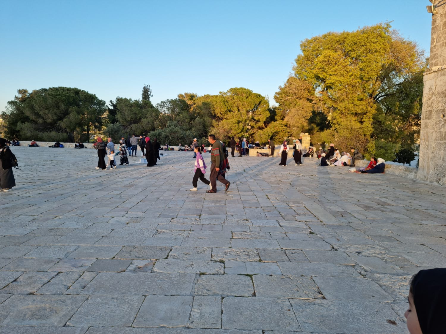 WhatsApp Image 2022-04-11 at 6.50.06 PM.jpeg